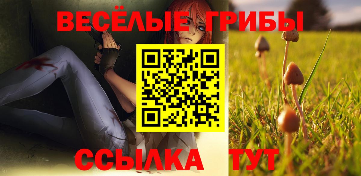 Чусовой  закладки  Вход с VPN  Псилоцибиновые грибы прущие грибы 
